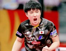 乒乓球世界杯：12月8日赛程公布！日本迎战韩国，中德狭路相逢