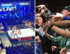 超级新星嘲讽粉丝，前WWE经理想看兰迪奥顿RKO里普利！
